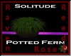 RVN - S - Potted Fern