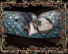 *Fish Pillow & Cat