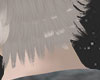 𝐒.ADD Hair