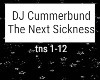 DJ Cummerbund - TNS