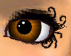 chocolate eyes