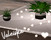 VK~Coffee Table