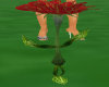 [ARG] Animated redflower