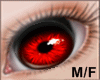 Red Eyes Male/Female