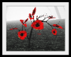 remembrance poppy tree