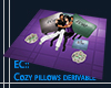 EC:Cozy pillows, derivab