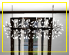 Perfect Chandelier Light