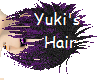 Yuki's Hair