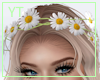 Coachella Headband
