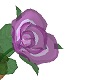 Violet Dusk Glass Rose