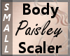 Body Scale Paisley S