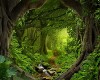Hidden Forest Background