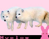 Arctic Foxies! Sticker