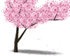 *T* Falling sakura tree