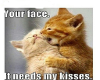 RA Kitten kisses 