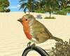 Red Crop Bird (Animated)