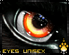 !F:Foxy: Unisex Eyes