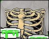 Spinal x Tee