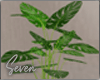 !7 Modern Plant