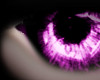 ~P~D Pink Eye