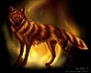 Firewolf Pic