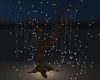Tree With Star Particles