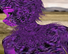 purple roo roo collars