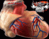 Heart InSide M/F