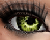 Crystal Hazel Eyes M/F