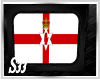 S33 Ulster Flag Frame