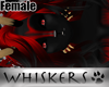 Whiskers :Demonik HairF1