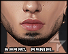 s. Asriel Beard Mv