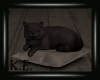 â¥ Radio Kitty â¥