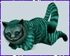 Cat Animated