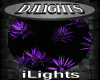 [iL] Purple Light Weed
