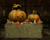 Pumpkins table sweet
