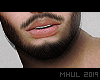 〽 Asteri - Beard&Lips