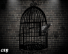 B~  Bird Cage + 15 Poses
