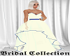 BlueTrim Wedding Dress