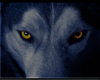 W0LF/TOPS ROJO