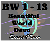 Beautiful World-Devo