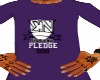 Sigma Nu Pledge Shirt