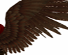 Brown Angel Wings