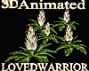 5 Animated Bromeliads 4