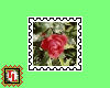 rose stamp