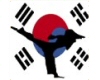 Tae Kwon Do Kicker - F