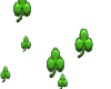 Rising Shamrocks