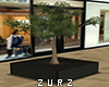 Z| Tree Planter Black