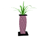 pink striped plant