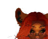 tigra | ears